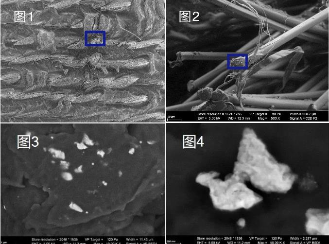 甘孜蔡司甘孜扫描电镜